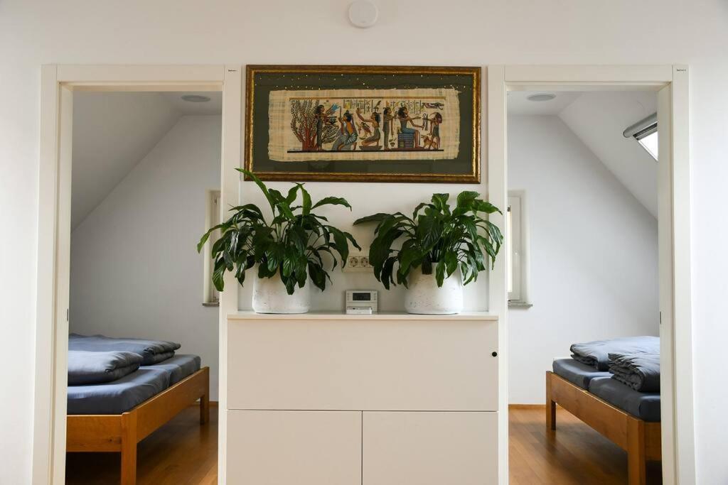 Stairway To Ljubljana Apartment 外观 照片